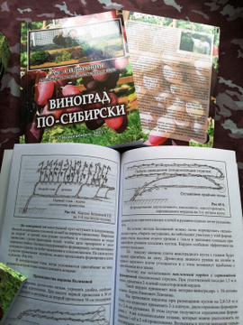 Книга в мягком переплете. Печать. Верстка.