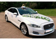 Свадебные авто, транспортная компания