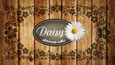 Цветочная лавка Daisy