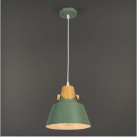 Светильник подвесной Prato 1 лампа 5 м² цвет зелёный LAMPLANDIA Prato Green prato