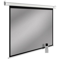 Экран Cactus SIlverMotoExpert CS-PSSME-200X150-DG, 200х150 см, 4:3, настенно-потолочный темно-серый