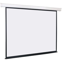 Экран Lumien Eco Control LEC-100108, 305х229 см, 4:3, настенно-потолочный белый