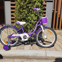 Велосипед детский для девочки Nameless 20 дюймов фиолетовый