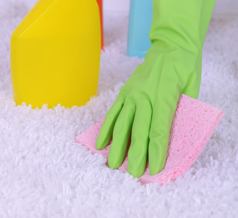 Химчистка ковровых покрытий в детских садах