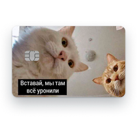 Наклейка на банковскую карту, стикер на карту, маленький чип, мемы, приколы, комиксы, стильная наклейка мемы №11 no bran