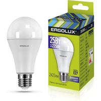 Светодиодная лампа Ergolux LED-A65-25W-E27-6K ЛОН