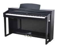 Цифровое фортепиано Artesia DP-150e Black Polish