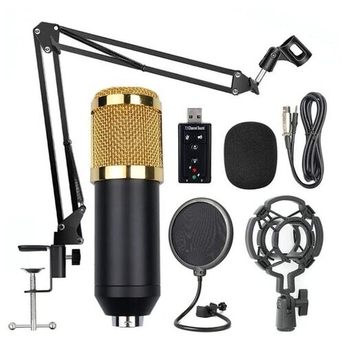 Конденсаторный микрофон набор / Профессиональная голосовая запись для телефона и ПК / Микрофон студийный с поп-фильтром,