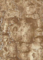 Керамическая плитка настенная Axima "Изабель" (250х350) низ