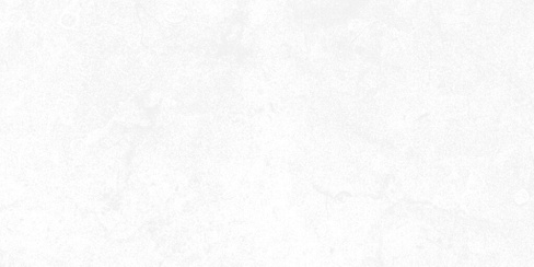 Керамическая плитка настенная Axima "Мегаполис" (250х500) св-серая