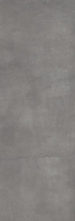 Плитка Lasselsberger настенная FIORI GRIGIO темно-серый 20х60 1064-0101