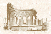 Вставка Axima "Пальмира" D (200х300)