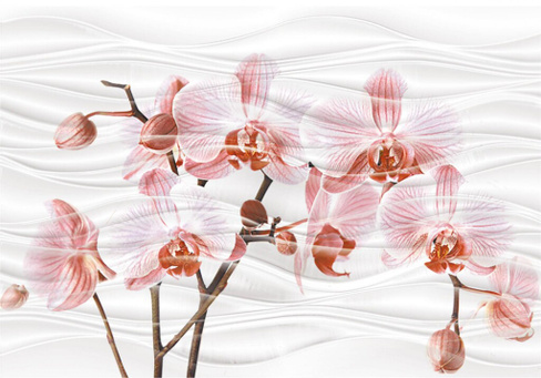 Вставка Axima "Орхидея" D (280х400)