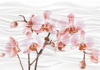Вставка Axima "Орхидея" D (280х400)
